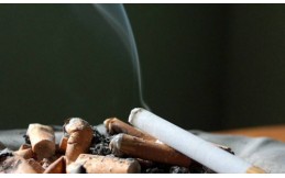 FDA confirms that nicotine does not cause cancer